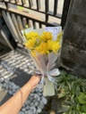 Daisy