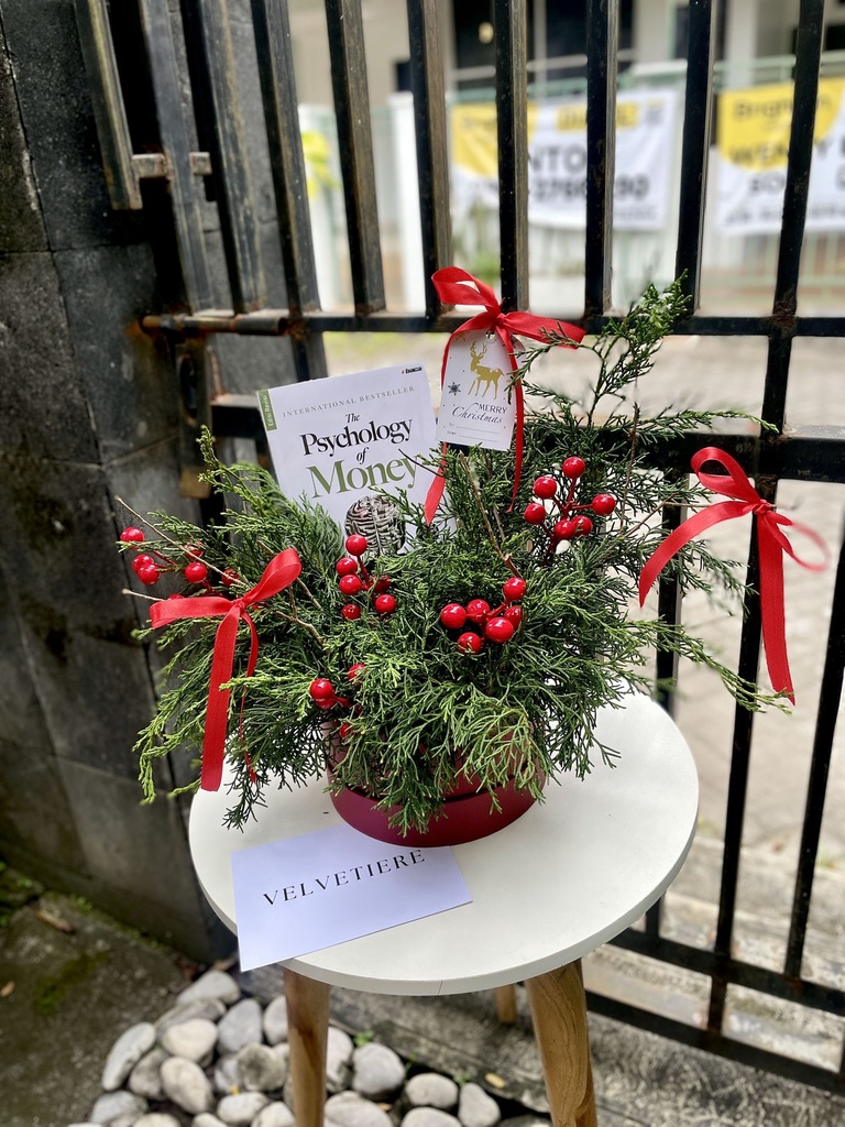Christmas Evergreen